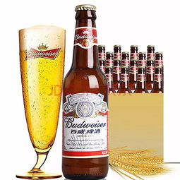 假啤酒一眼看穿 百威 青岛 老板辨真假就是这么轻松