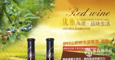 蓝莓干红(中国 青岛)-山东伊春山野商贸