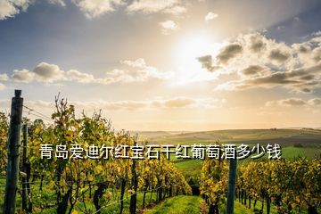 青岛爱迪尔葡萄酒产品价格,青岛爱迪尔葡萄酒的蓝莓酒多少度