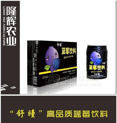 隆辉农业经典级蓝莓酒