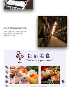 苏子富春 蓝莓酒女士低度红酒男士半甜型果酒东北特产小粒蓝莓果酒非葡萄酒500ml