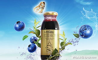 禾韵品牌系列 源自自然的蓝莓健康佳品