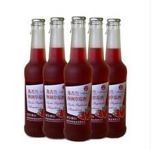 青岛玛丽龙舌兰与蓝莓酒 批发价格、厂家及市场概况