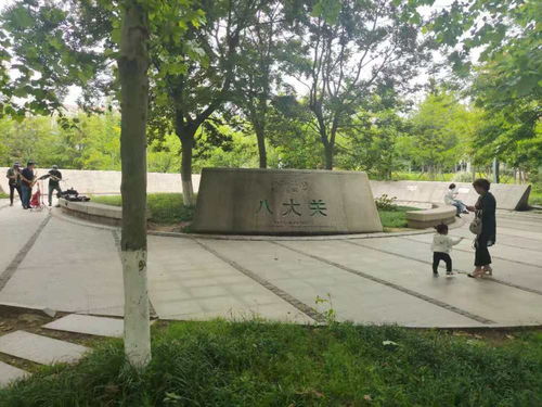 青岛一日 海风、亲人、蓝莓酒香